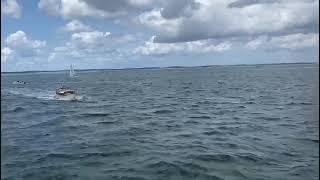 Embarquez à bord du bateau traditionnel du bassin d’Arcachon : la pinasse DUNA