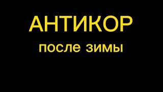 АНТИКОРРОЗИОННАЯ обработка (что осталось после зимы?)