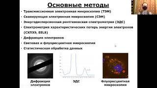 Подгруппа д.б.н., доц. М. В. Ерохиной