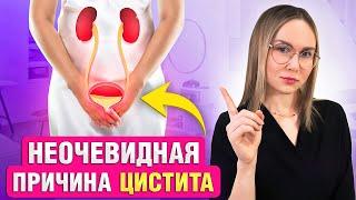 ЦИСТИТ у женщин. Главные ПРИЧИНЫ появления цистита.