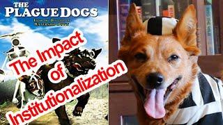 The Plague Dogs (and the Impact of Institutionalization) - Radical Reviewer