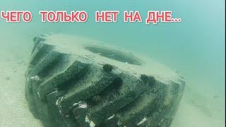 Богатства японского моря. Дайвинг Приморский край. Жизнь в Приморье, дайвинг.Мидии,устрицы