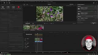 Как Экспортировать проект DaVinci Resolve в разные файлы