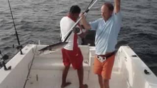 Fishing Adventures #17 - Fishing Frenzy Kingfish Barracuda Queenfish offshore Abu Dhabi