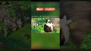 MAD ISLAND Explanation