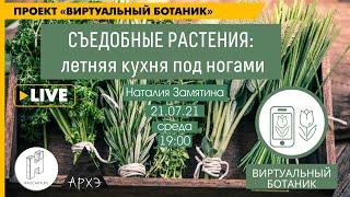 Лекция "Съедобные растения: летняя кухня под ногами" курса Ботанические заметки: полезные и опасные