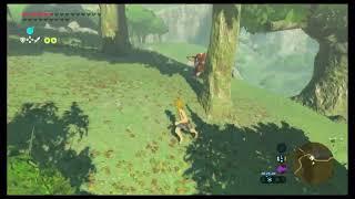 The Ultimate Boko Archer - IST Quickie - Breath of the Wild