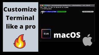 Customize your terminal on MacOS  like a pro  | oh-my-zsh | powerlevel10k | iTerm2