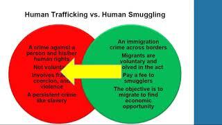 Dynamics of Human Trafficking