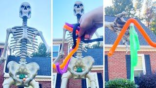 12ft Skeleton Picks Fidgets and Slime