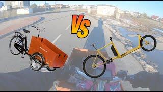 Two-Wheeled vs Three-Wheeled Cargo Bikes: Which is Better For You?