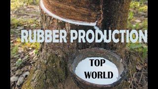 Top World Rubber Area Harvested (Hectare) | Food Agriculture Organization Time Series