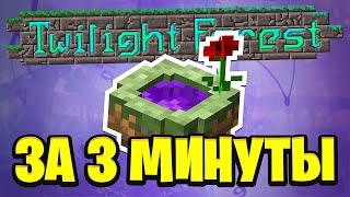 Весь Сумеречный лес за 3 минуты! (+Баги) | Twilight Forest за 3 минуты! | Майнкрафт