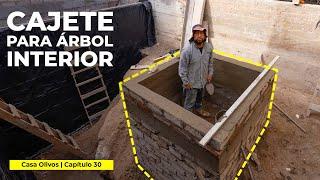 BASIN TO CONTAIN THE INDOOR TREE | Casa Olivos | Chapter 30 | @FesterMéxicoOficial