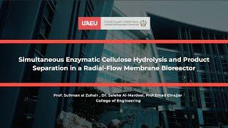 Simultaneous Enzymatic Cellulose Hydrolysis and Product Separation in a Radial Flow Membrane Bioreac