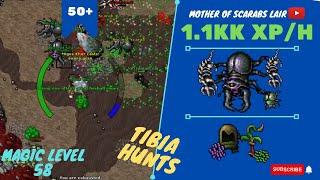 MAGE SOLO LVL 50+ 1.1KK XP/H - ML 58 - Mother of Scarabs Lair - TIBIA HUNT