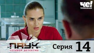 Паук | Сезон 1 | Серия 14