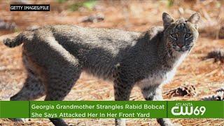 Woman Strangles Bobcat To Death In Front Yard In Georgia