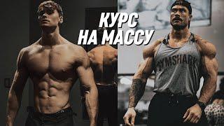 Лучший Курс Стероидов На Массу