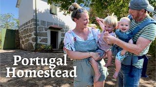 7 Good Reasons Why WE MOVED TO PORTUGAL | Homestead Life