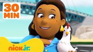 Paw Patrol | ¡PAW Patrol Rescata a la Alcaldesa Goodway y Chickaletta! | Nick Jr. en Español
