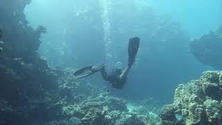 Scuba Diving at south side of El Quadim Bay | Trip to El Quseir, Egypt 2020