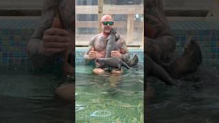 WANT TO PLAY WITH OUR OTTERS AnimalEDventures.com Presents Behind The Scenes VIP Tour Book NOW