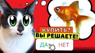 ПОДПИСЧИКИ УПРАВЛЯЮТ МОЕЙ ЖИЗНЬЮ! КОТ И КОШЕЧКА МУРКА ДЕЛАЮТ ВСЕ 24 ЧАСА!