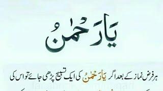 sajjad wasim54tv live