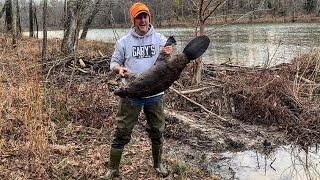 Finished up beaver job with 2 giants.