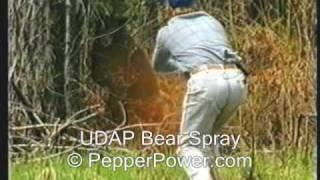 Bear Sprayed with UDAP Pepper Power Bear Deterrent