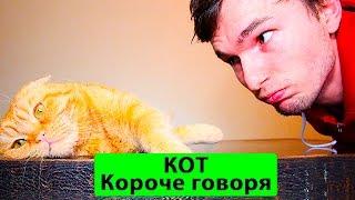 КОРОЧЕ ГОВОРЯ, КОТ - ТимТим.