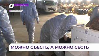 Можно съесть, а можно сесть: в Приморье этот продукт теперь - стратегически важный товар