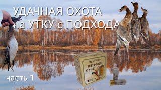 удачная ОХОТА с ПОДХОДА |  УТКА чуть не УБИЛА ОХОТНИКА | Уральский Рэмбо #охота #утка