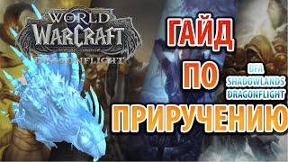 Как приручить ДУХА ЗВЕРЯ призрачного ежа в Реалиях WoW Legion, BFA, Shadowlands, Dragonflight