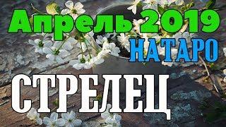 СТРЕЛЕЦ - таро прогноз апрель 2019 года НАТАРО.