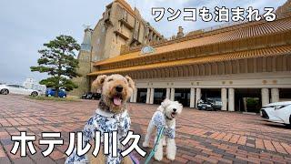 ずっと泊まってみたかった豪華絢爛なホテルへ愛犬と宿泊しました　ホテル川久［犬連れ家族旅行］