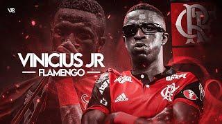 Vinicius Jr ●King of Dribbling Skills● Flamengo