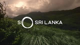 Sinharaja Forest | So Sri Lanka