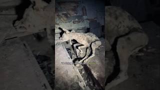 This is your sign to urbex…