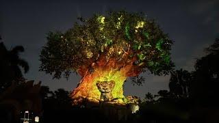 Mufasa Tree of Life Awakenings 2024