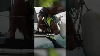 미국 바다에서 조난 당하면 벌어지는 일