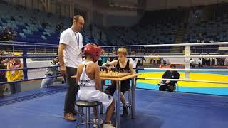 Chessboxing | Шахбокс-лайт: Береснев Егор - Ефимов Гордей