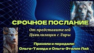 Срочное послание от представителей Цивилизации с Лиры.28.12.2024