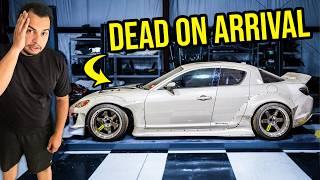 The UGLY TRUTH About Buying An Abandoned Show Car