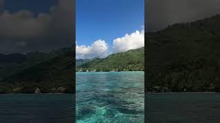 I cannot get enough of the lagoon of Moorea! #vlog #youtubeshorts #shorts