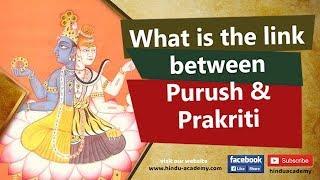 What is the link between Purush and Prakriti?