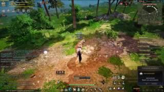 Новые 2 спота с лошадьми в Камасильвии Black Desert