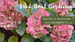 Mad About Gardening S01E07 Pt 1 November | Autumn Cottage Garden Tour | Drying Hydrangeas