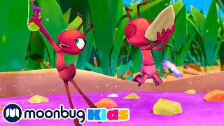 Mystery Mix | Moonbug Kids TV Shows - Full Episodes | Cartoons For Kids